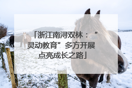 浙江南浔双林：“灵动教育”多方开展 点亮成长之路