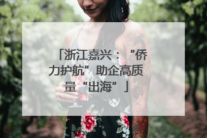 浙江嘉兴：“侨力护航”助企高质量“出海”
