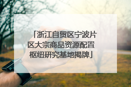 浙江自贸区宁波片区大宗商品资源配置枢纽研究基地揭牌