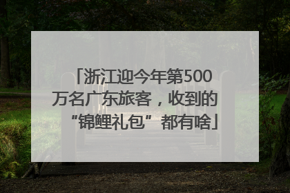 浙江迎今年第500万名广东旅客，收到的“锦鲤礼包”都有啥