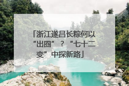 浙江遂昌长粽何以“出圈”？“七十二变”中探新路