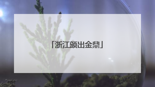 浙江颁出金鼎