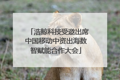 浩鲸科技受邀出席中国移动中资出海数智赋能合作大会