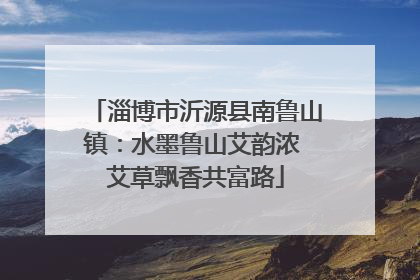 淄博市沂源县南鲁山镇：水墨鲁山艾韵浓 艾草飘香共富路