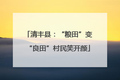 清丰县：“粮田”变“良田”村民笑开颜