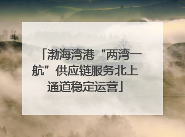 渤海湾港“两湾一航”供应链服务北上通道稳定运营
