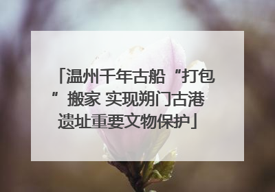 温州千年古船“打包”搬家 实现朔门古港遗址重要文物保护