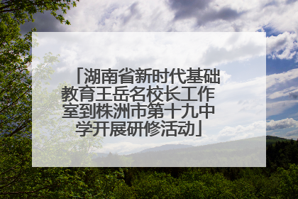 湖南省新时代基础教育王岳名校长工作室到株洲市第十九中学开展研修活动