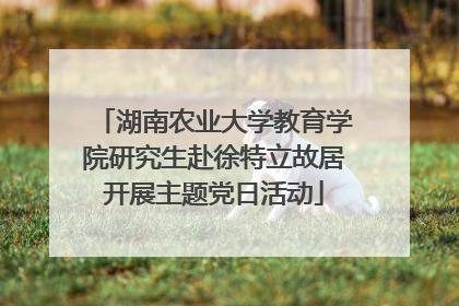 湖南农业大学教育学院研究生赴徐特立故居开展主题党日活动