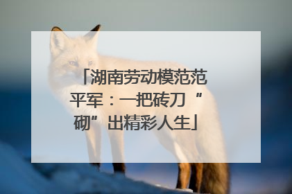 湖南劳动模范范平军：一把砖刀“砌”出精彩人生