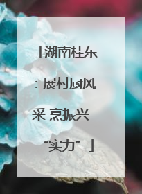 湖南桂东：展村厨风采 烹振兴“实力”