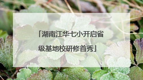 湖南江华七小开启省级基地校研修首秀