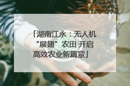 湖南江永：无人机“展翅”农田 开启高效农业新篇章