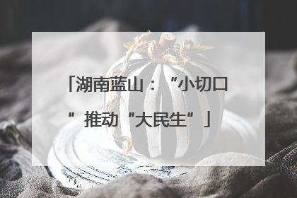 湖南蓝山：“小切口”推动“大民生”