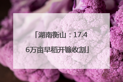湖南衡山：17.46万亩早稻开镰收割