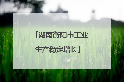 湖南衡阳市工业生产稳定增长