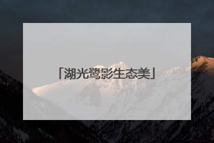 湖光鹭影生态美