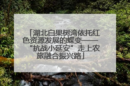 湖北白果树湾依托红色资源发展的蝶变——“抗战小延安”走上农旅融合振兴路