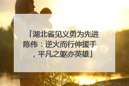 湖北省见义勇为先进陈伟：逆火而行伸援手，平凡之躯亦英雄