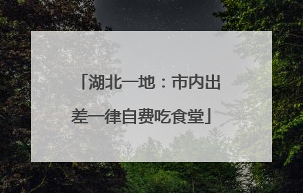 湖北一地：市内出差一律自费吃食堂