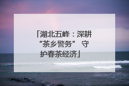 湖北五峰：深耕“茶乡警务” 守护春茶经济