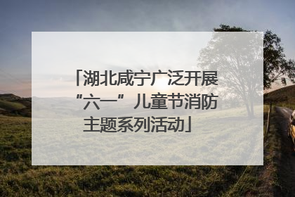 湖北咸宁广泛开展“六一”儿童节消防主题系列活动