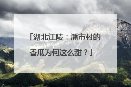 湖北江陵：潘市村的香瓜为何这么甜？