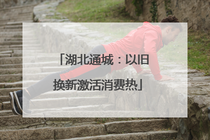 湖北通城：以旧换新激活消费热