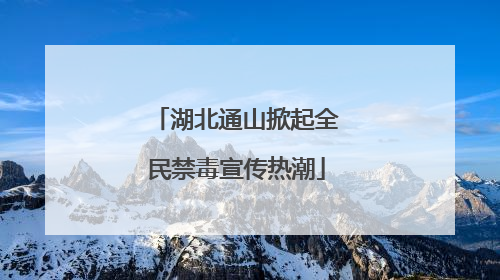 湖北通山掀起全民禁毒宣传热潮