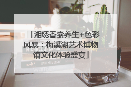 湘绣香囊养生+色彩风暴：梅溪湖艺术博物馆文化体验盛宴