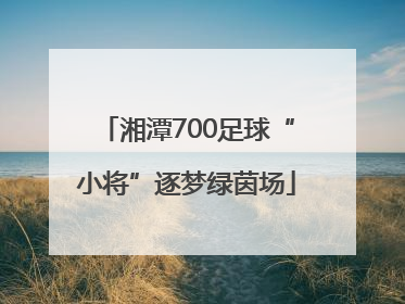 湘潭700足球“小将”逐梦绿茵场