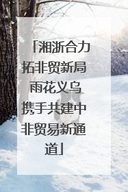 湘浙合力拓非贸新局 雨花义乌携手共建中非贸易新通道
