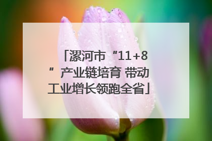 漯河市“11+8”产业链培育 带动工业增长领跑全省