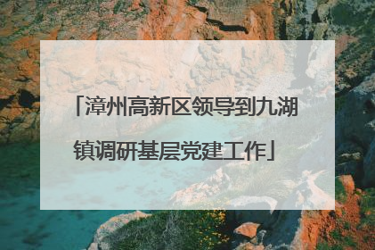 漳州高新区领导到九湖镇调研基层党建工作