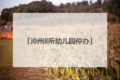 漳州8所幼儿园停办