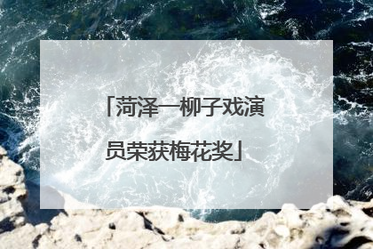 菏泽一柳子戏演员荣获梅花奖