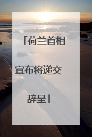 荷兰首相宣布将递交辞呈