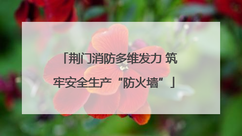 荆门消防多维发力 筑牢安全生产“防火墙”