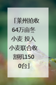莱州抢收64万亩冬小麦 投入小麦联合收割机1500台