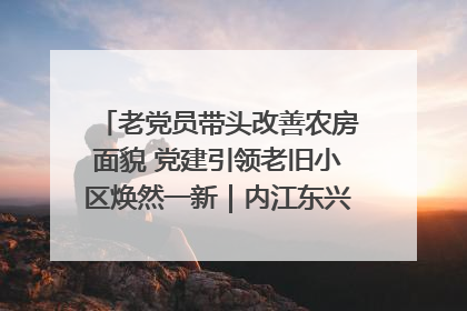 老党员带头改善农房面貌 党建引领老旧小区焕然一新｜内江东兴“红”在哪？④