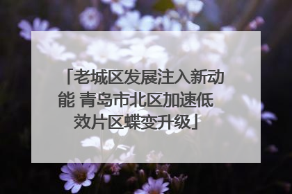 老城区发展注入新动能 青岛市北区加速低效片区蝶变升级