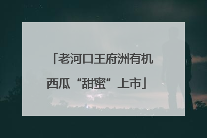 老河口王府洲有机西瓜“甜蜜”上市