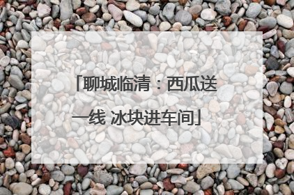 聊城临清：西瓜送一线 冰块进车间