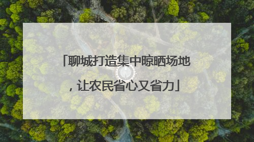 聊城打造集中晾晒场地，让农民省心又省力