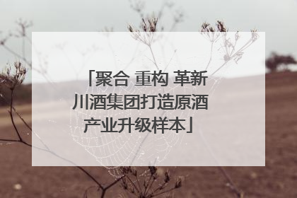 聚合 重构 革新 川酒集团打造原酒产业升级样本
