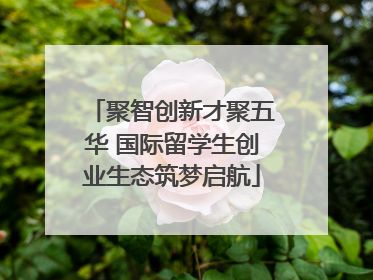 聚智创新才聚五华 国际留学生创业生态筑梦启航