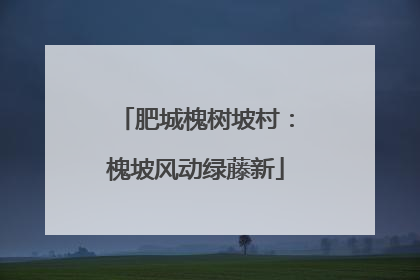 肥城槐树坡村：槐坡风动绿藤新