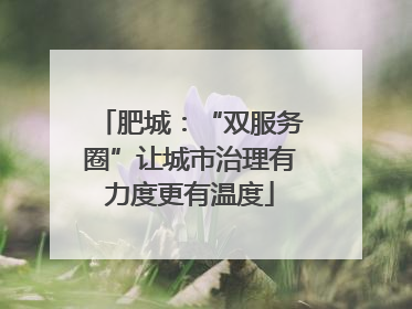 肥城：“双服务圈”让城市治理有力度更有温度