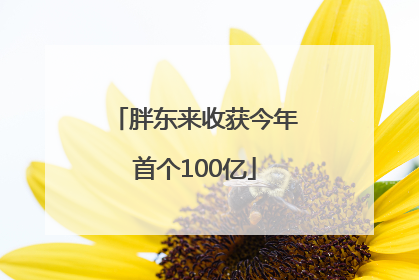 胖东来收获今年首个100亿