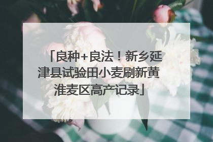 良种+良法！新乡延津县试验田小麦刷新黄淮麦区高产记录